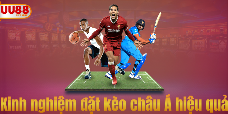 Kinh nghiệm đặt kèo châu Á hiệu quả